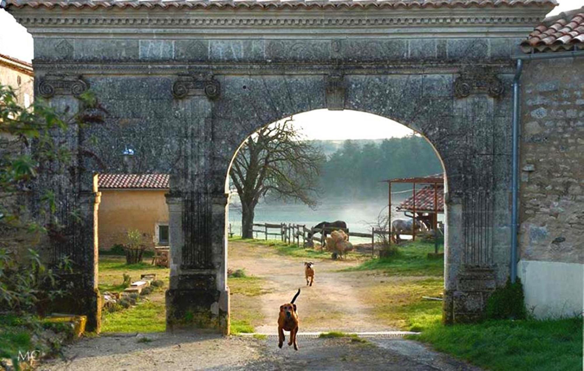 Domaine De Chantemerle B'Nb Marsac  Exterior photo